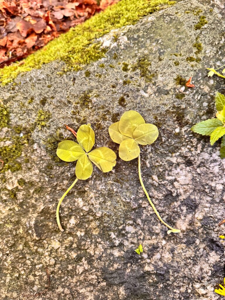 Executive Presence Upgrade